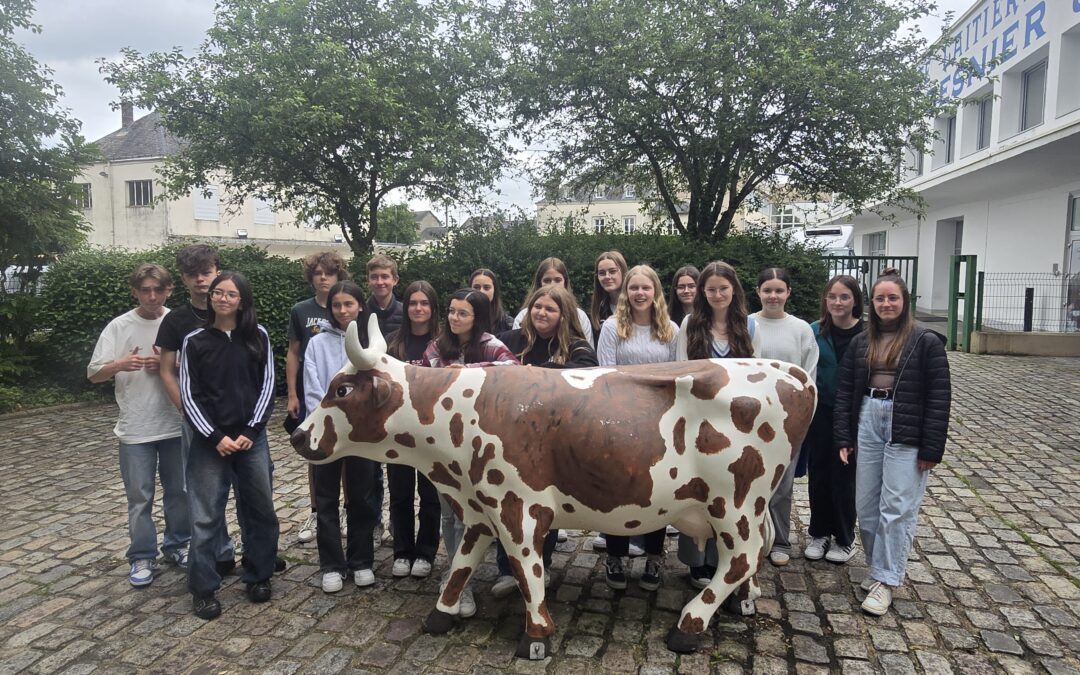 Dernière visite pour les troisièmes PEM : la cité du lait